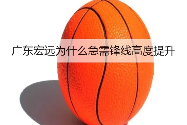 img_1781032513955_918_1_966.jpg