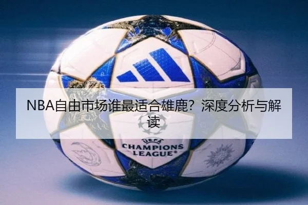 NBA自由市场谁最适合雄鹿？深度分析与解读（xingkong.com）